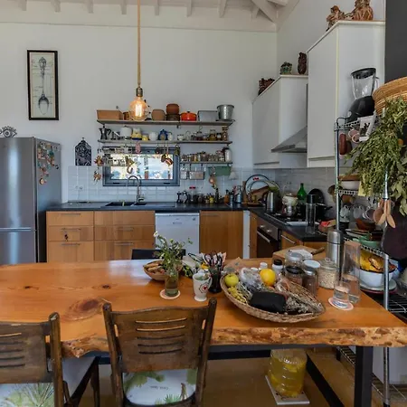 Impressive House With Peaceful Garden In Bodrum Vila Giris