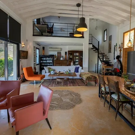 Impressive House With Peaceful Garden In Bodrum Vila